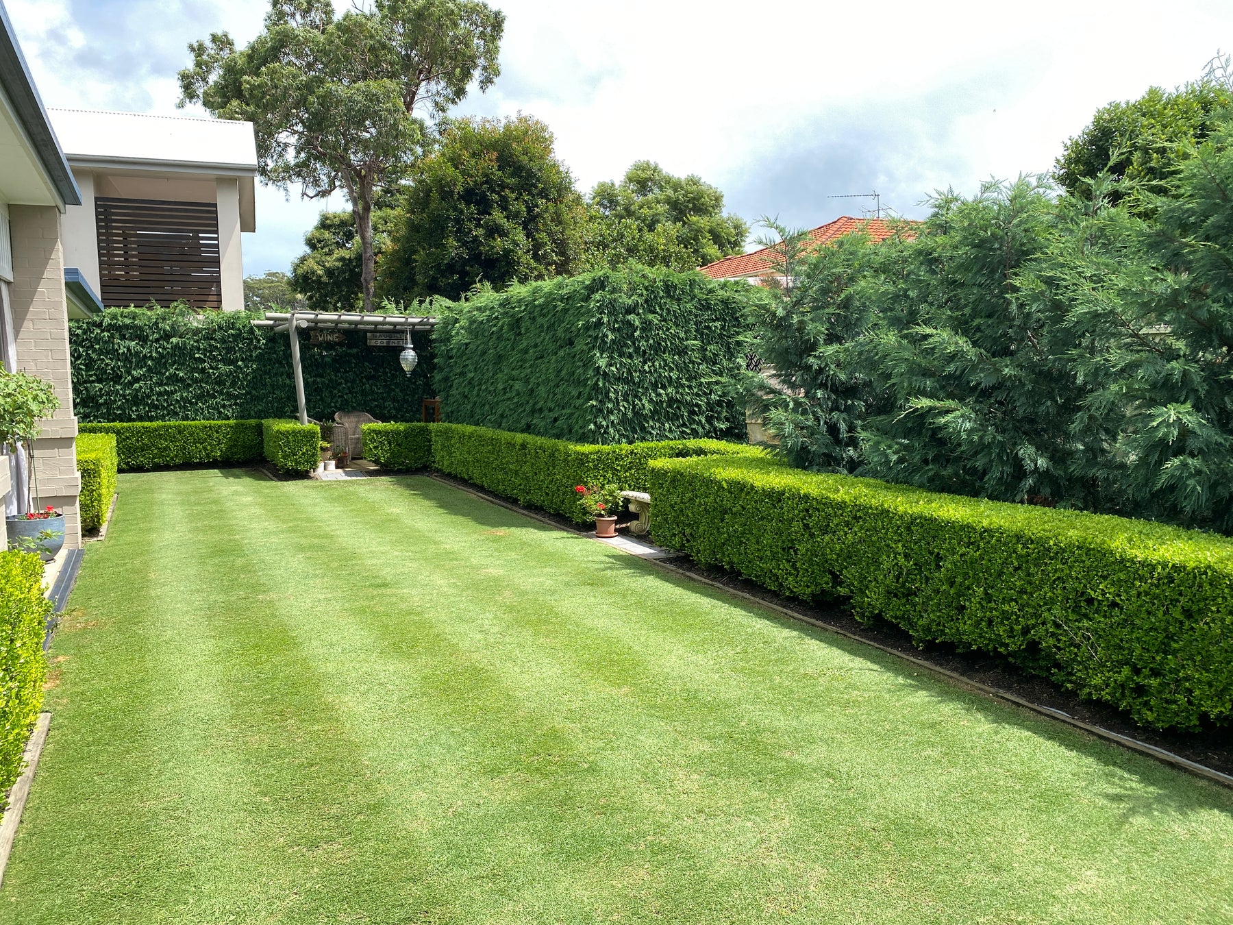 How Do The Experts Care For Their Lawns?