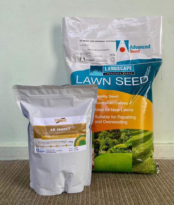 SR 4660ST Turf Type Perennial Ryegrass Seed