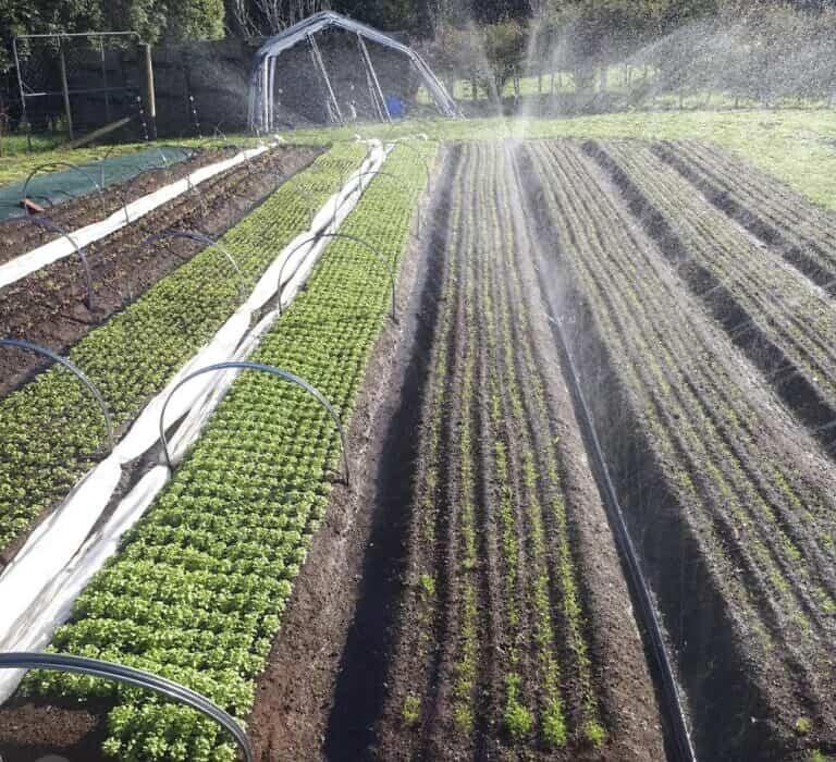 SumiSoaker Soaker Hose Kit