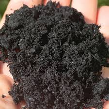 BIOCARBON - Premium Biochar