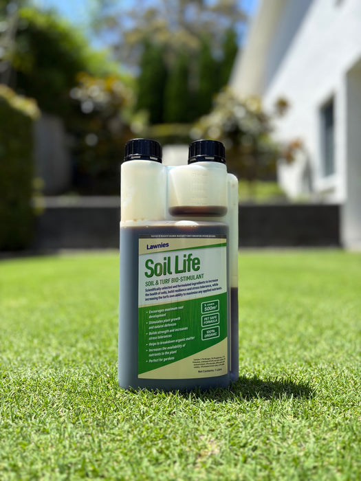 Lawnies Soil Life