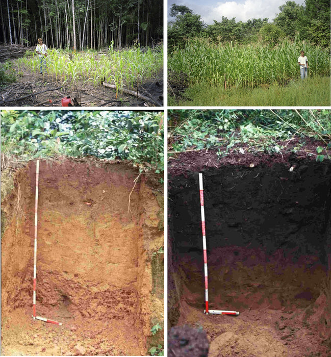Future Soil LIQUID BIOCHAR