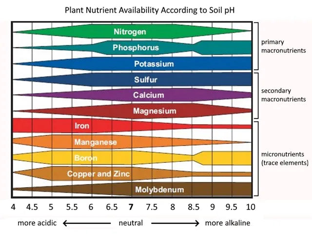 Soil pH Test Kit Small